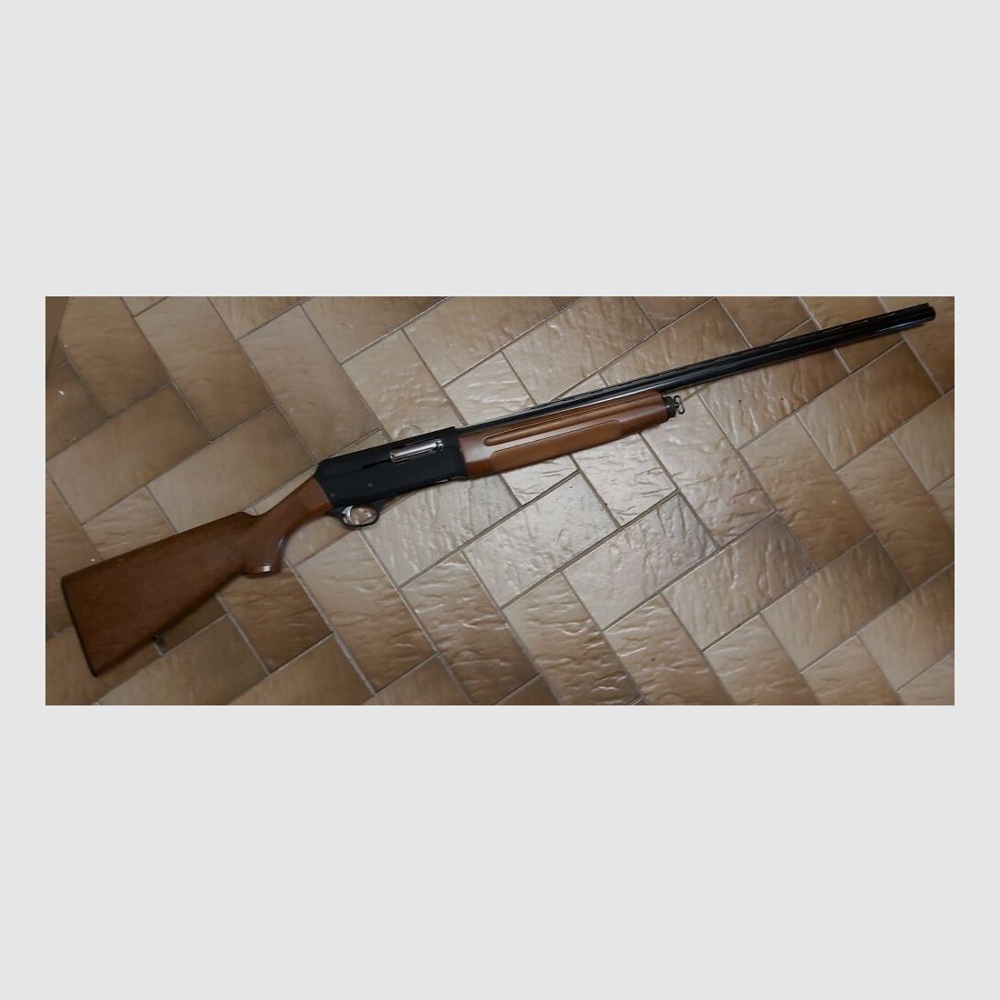 Luigi Franchi - Brescia Hunter