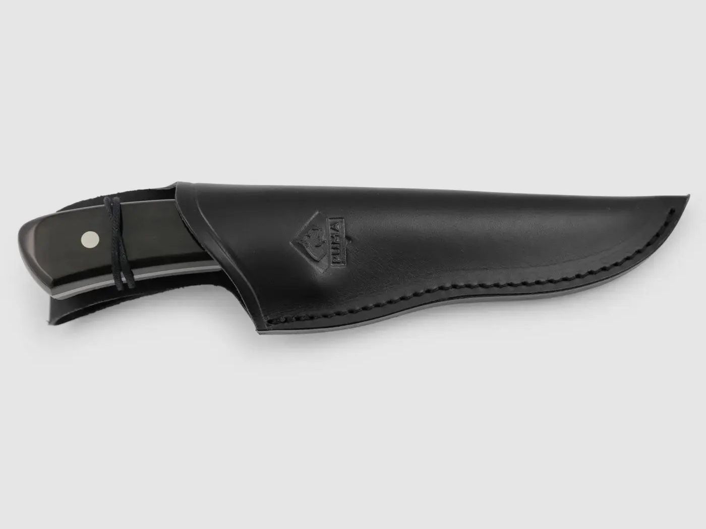 PUMA dagga boy, corne de buffle