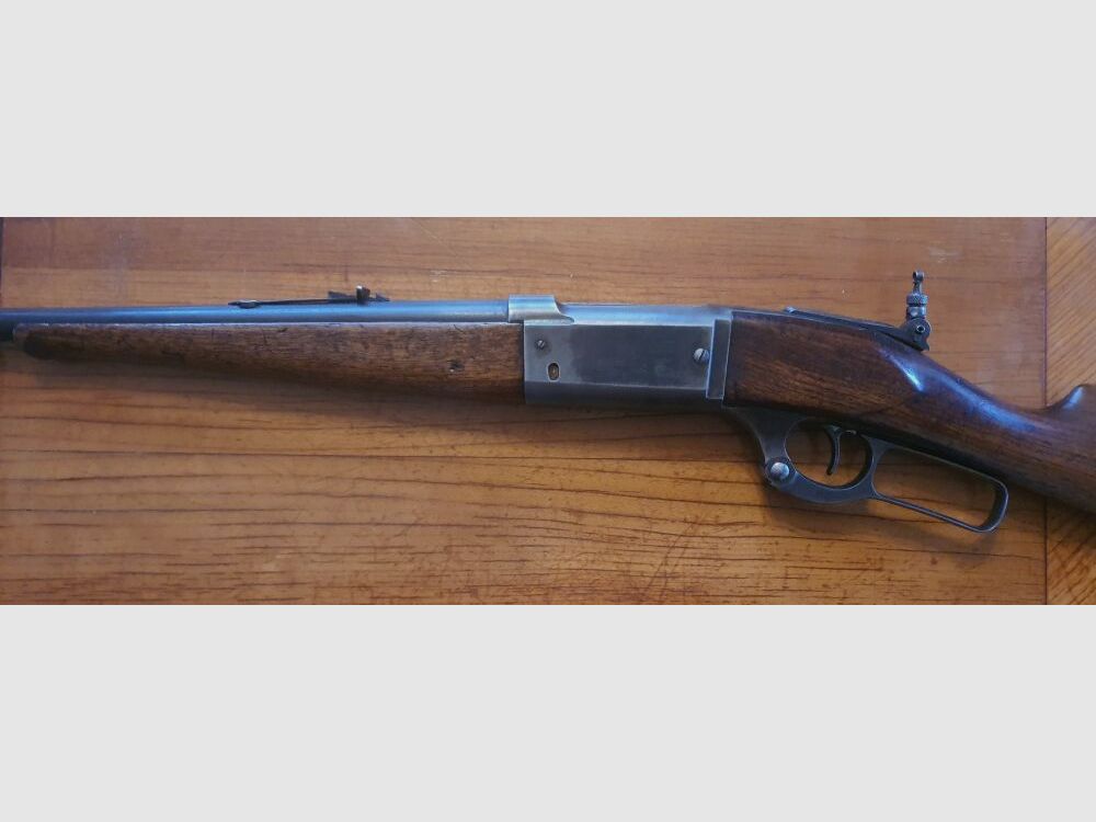 Savage 1899