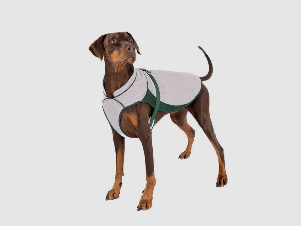 Ruff and Tumble Hundekühlmantel