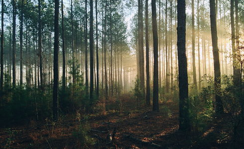 Overview of the New Federal Hunting Law