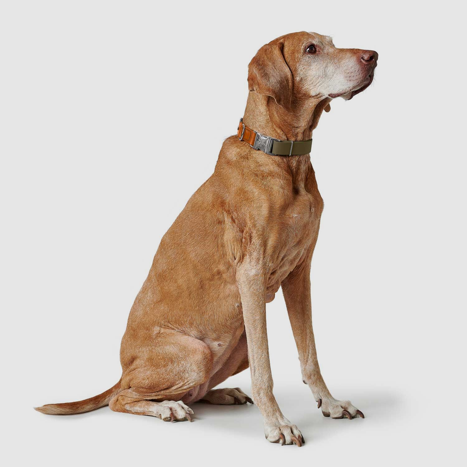 Hunter Halsband Wolmar Alu-Strong