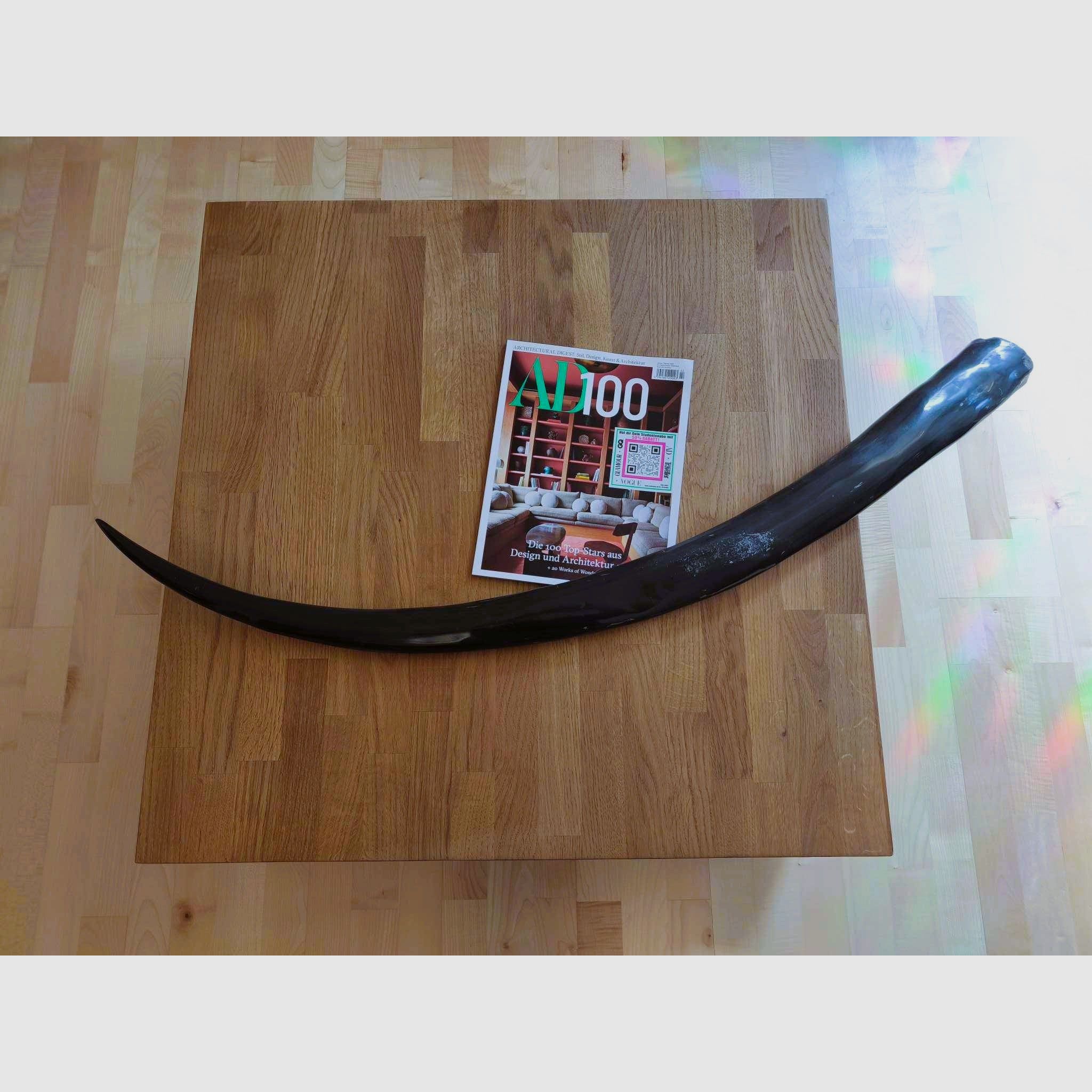 Longhorn Thai Buffello XXL Wasserbüffel Horn poliert 117cm