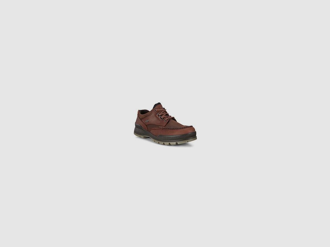 Ecco Herren Wanderschuh Track 25 Low GTX Braun