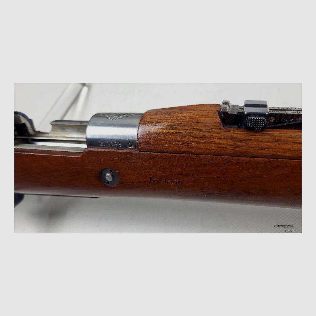DWM Argentino 1909