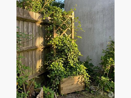 Holzblumenbank mit Gitter 40x31x140cm