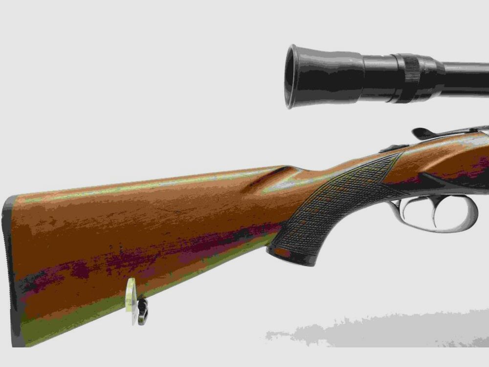 ZBROJOVKA BRNO 502.3 mit Frankonia ZF 3-12x56