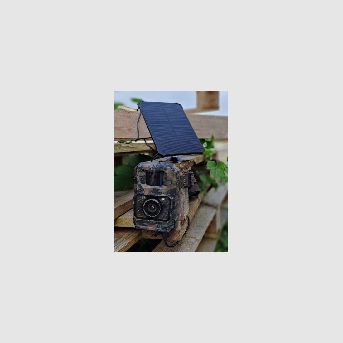 Trappola fotografica VIR APP SOLAR, immagine 2 di 3