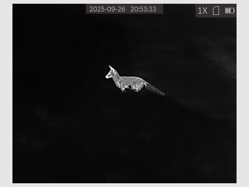 Thermal imaging camera HIKMICRO OWL OH35