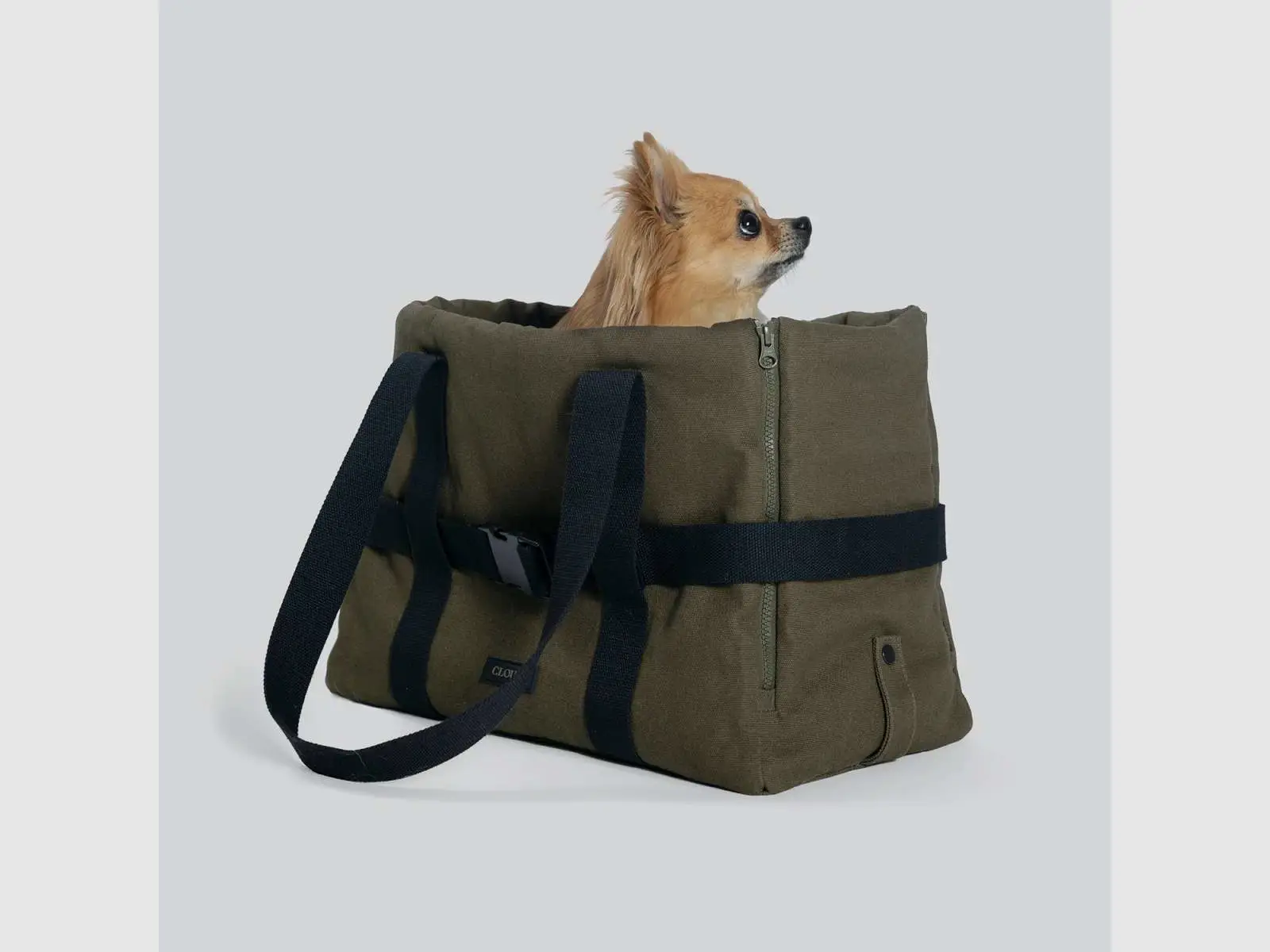 Hundetasche Canvas, Bild 12 von 14