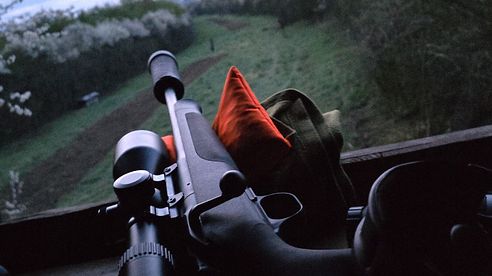 DDOptics Nighteagle V8 2,5-20x56 NFX