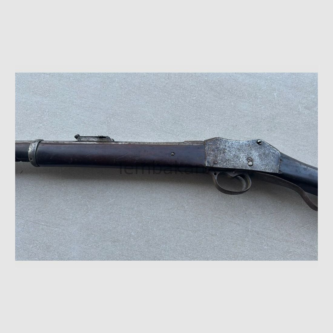 Enfield Bj. 1875 (vermutlich) .445SuperMag