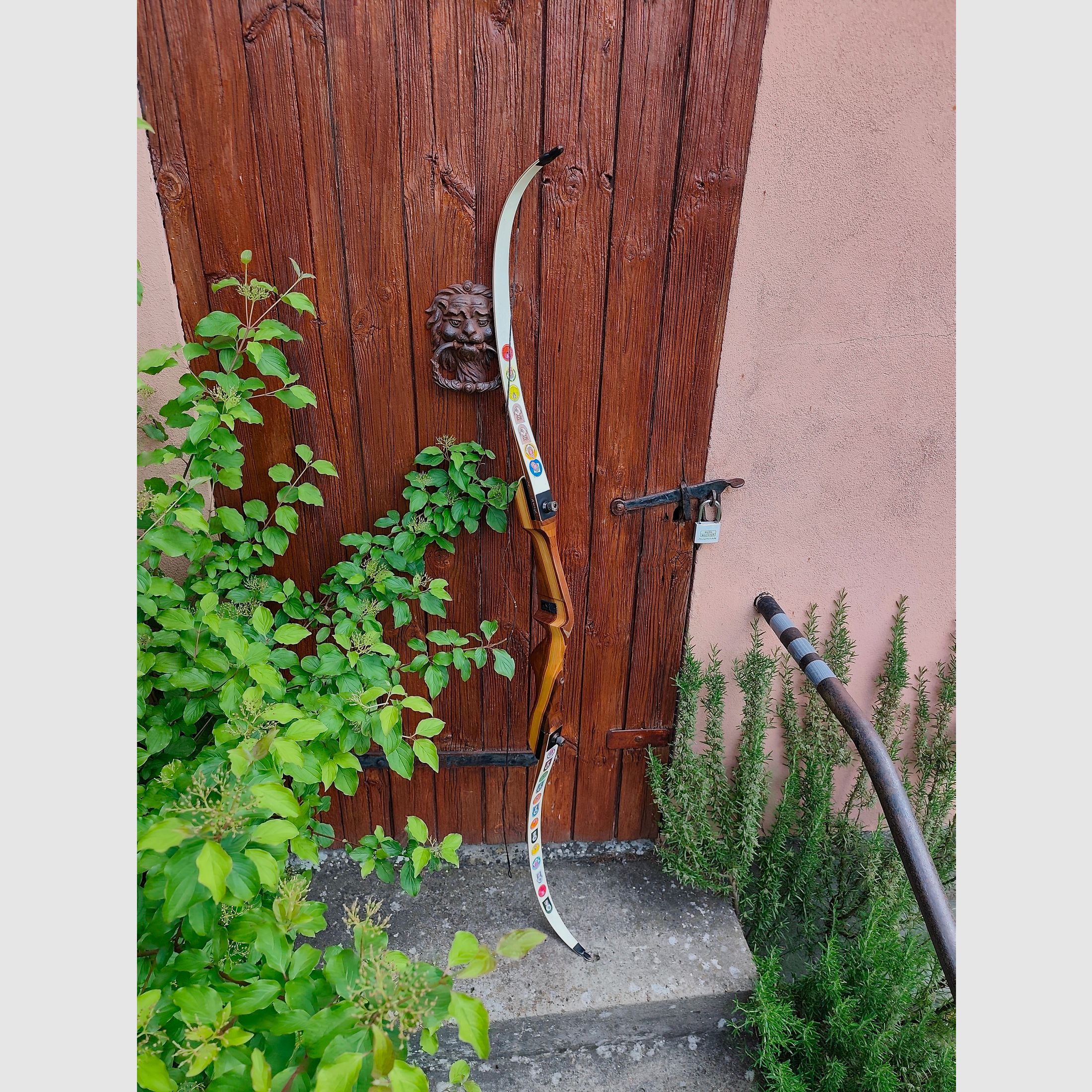 Samick recurve bow 68" / 28 lbs with extensive accessories and competition history
