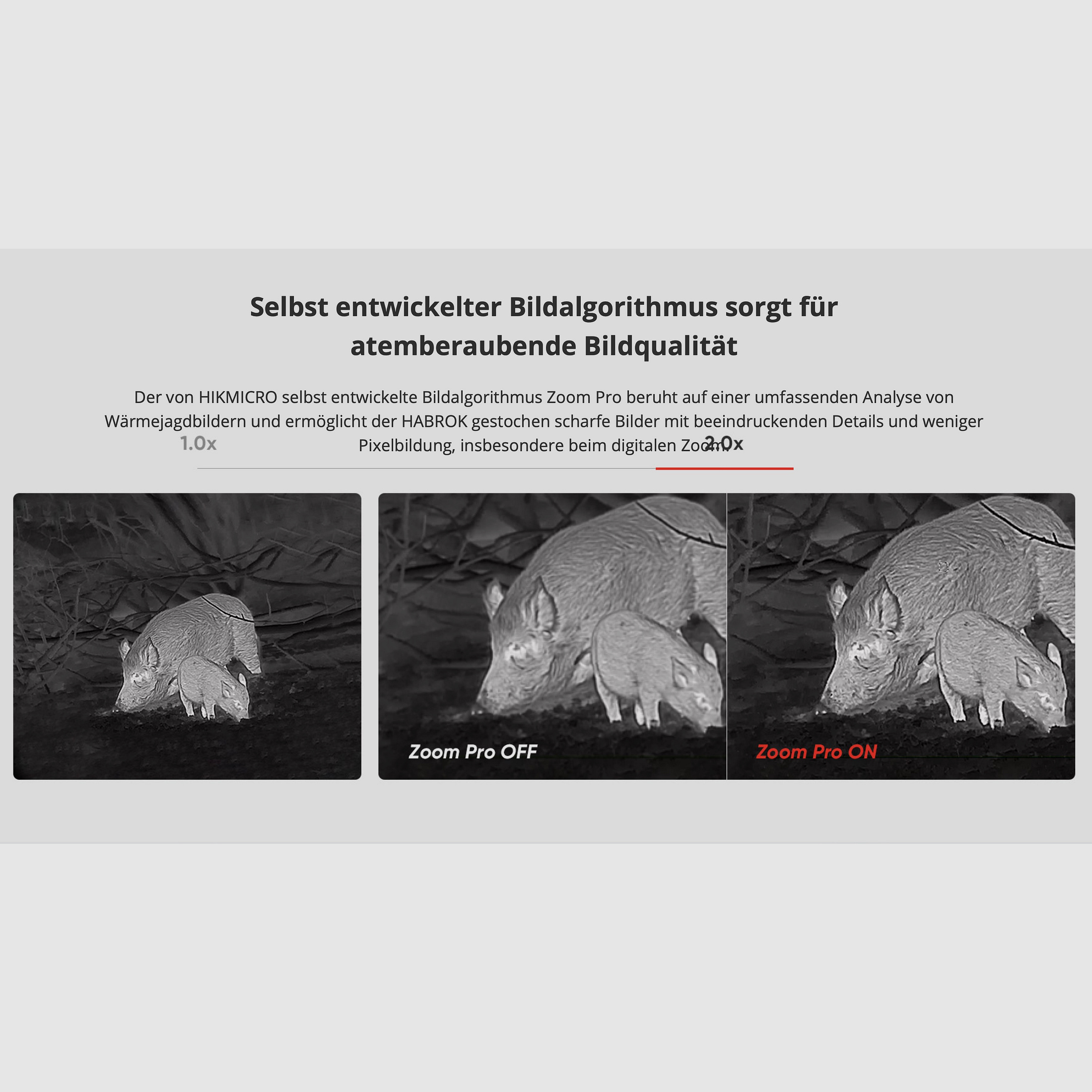 Hikmicro Binocular Habrok HQ35L imagen térmica/visión nocturna/cámara digital 850Nm 2560 x 1440