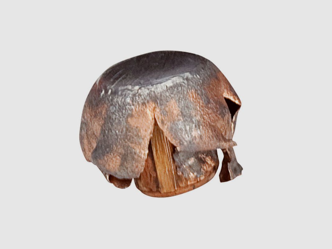 BULLET FEDERAL Nosler Partition - 300 Win. Mag. - 180 grains, image 5 sur 5
