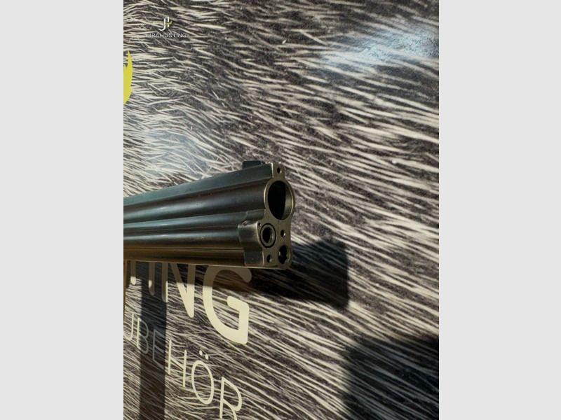 Blaser BD880; 7x57R; .22Hornet; 20/76; Zeiss 3-12x52