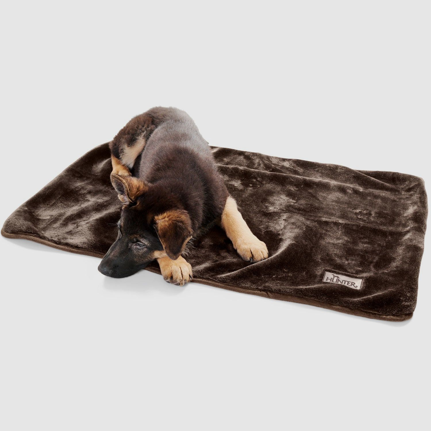 Hunter Hundedecke Konstanz