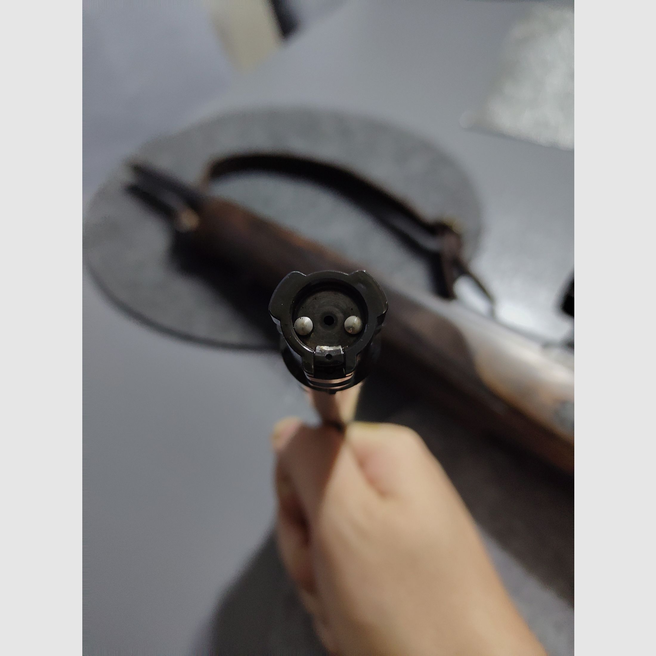 Sauer 101 GTI con silenciador integral