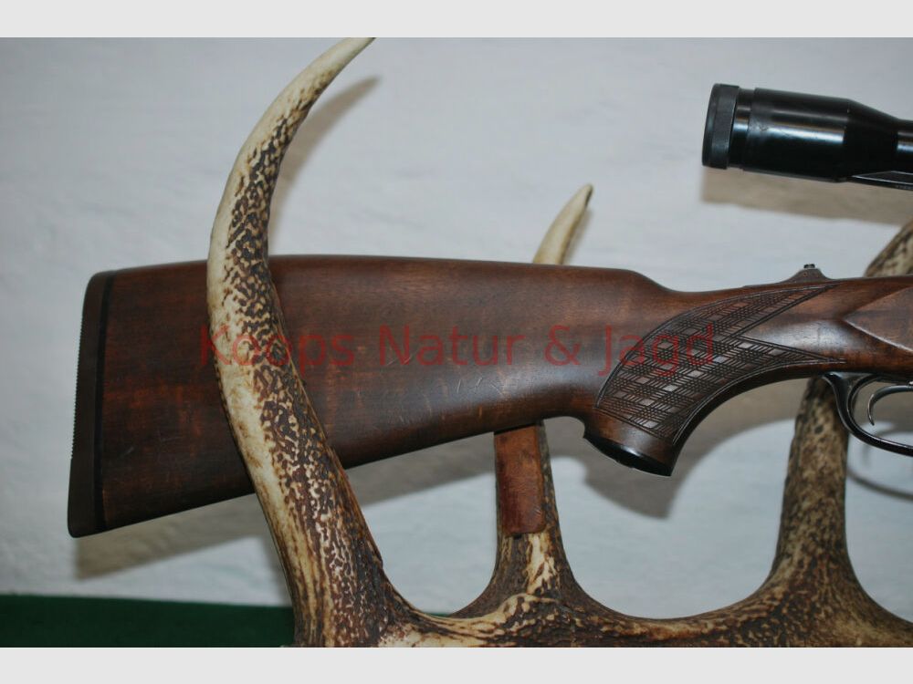 Blaser	 ES 63