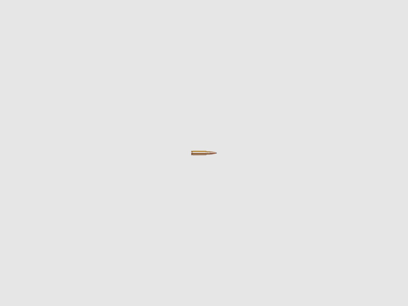 HORNADY .308 Win InterLock SP 180 gr kogelmunitie, afbeelding 2 van 3