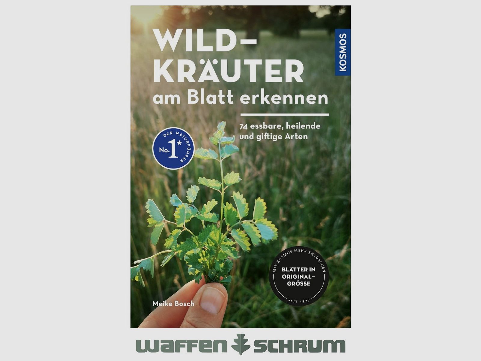 Kosmos Wildkräuter am Blatt erkennen Meike Bosch