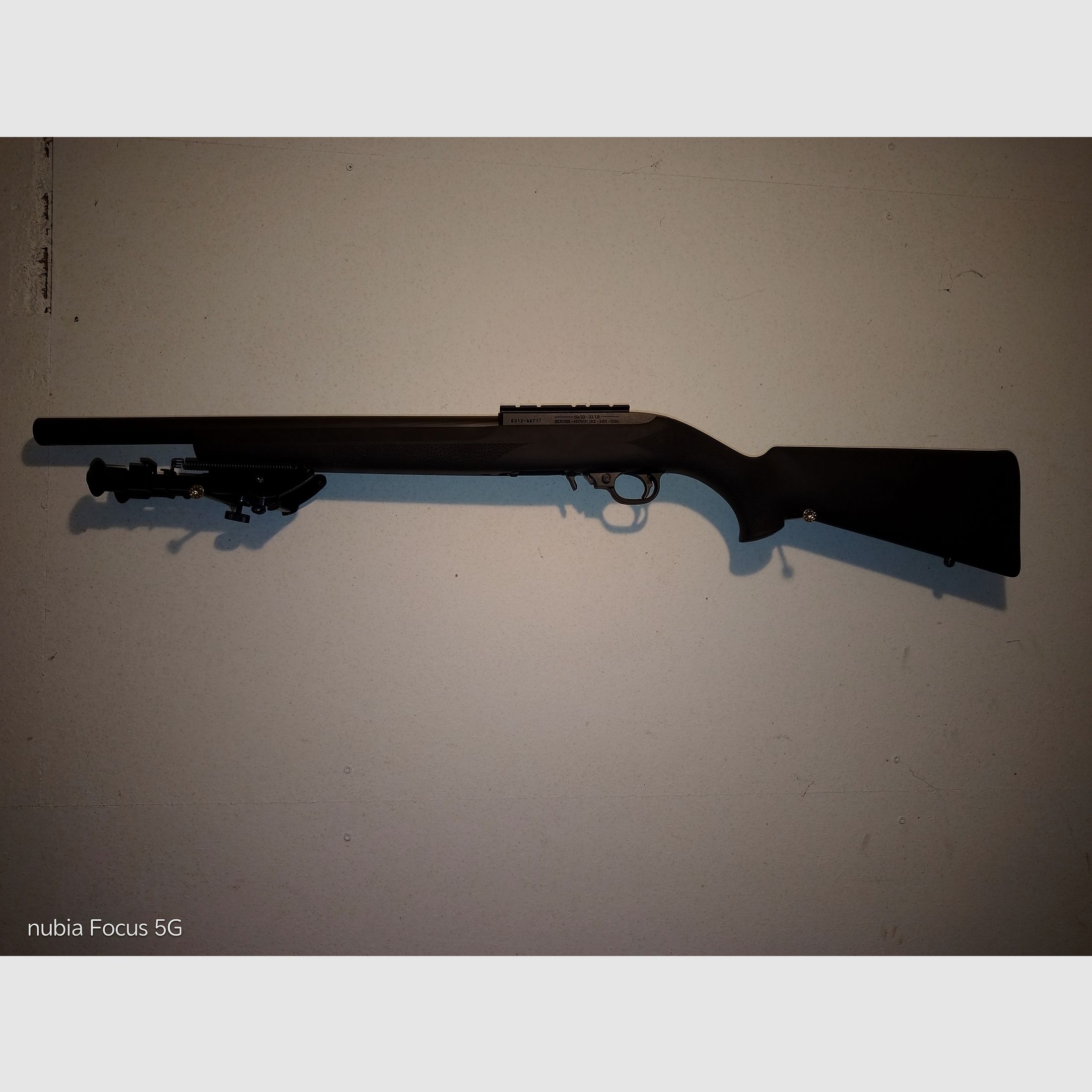 Ruger 10/22 