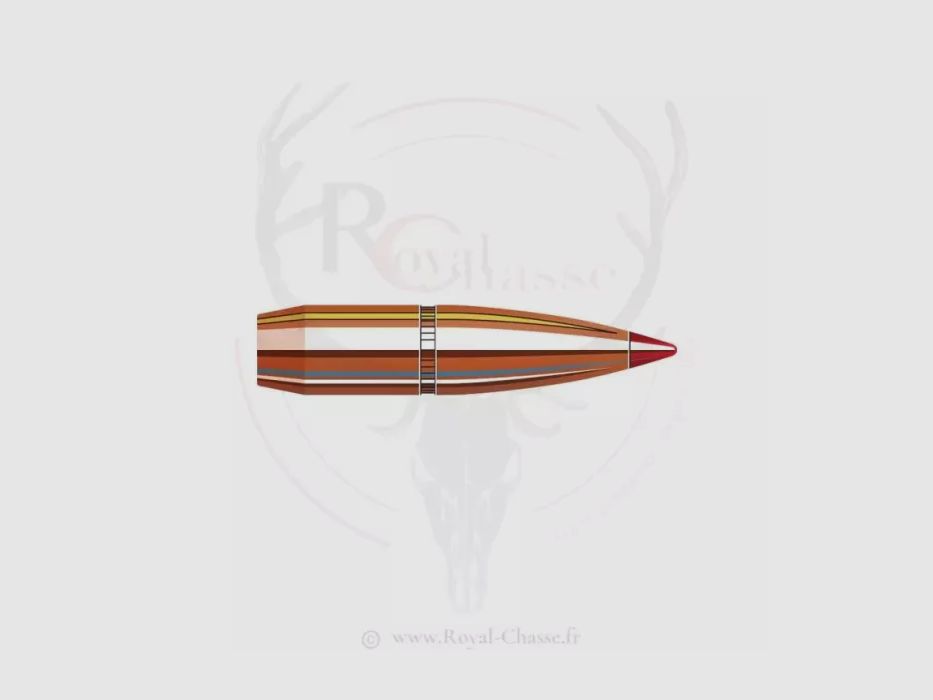 100 pocisków kal. 6.5mm D.264 123 gr SST HORNADY, zdjęcie 1 z 2