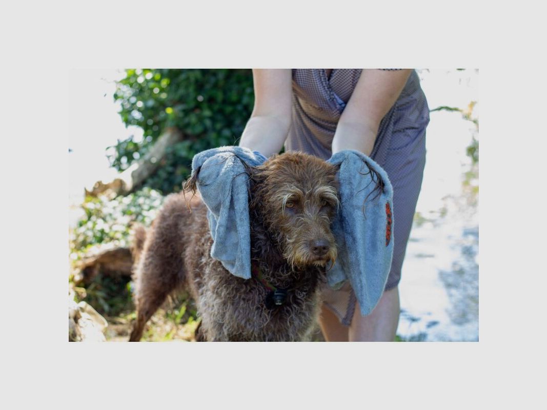 Siccaro Trockentuch EasyDry Dog Towel