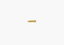 Reinigungsjag .223/5,56mm Tac