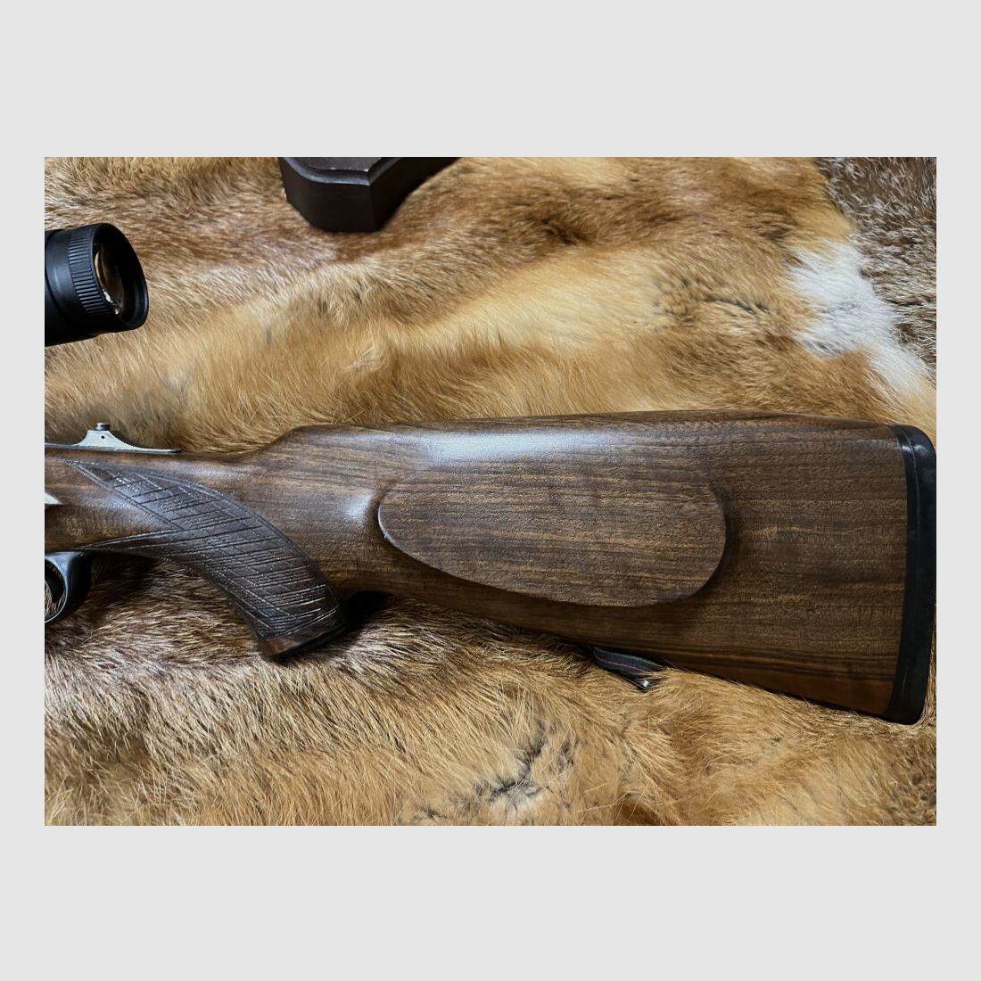 Blaser ES 73