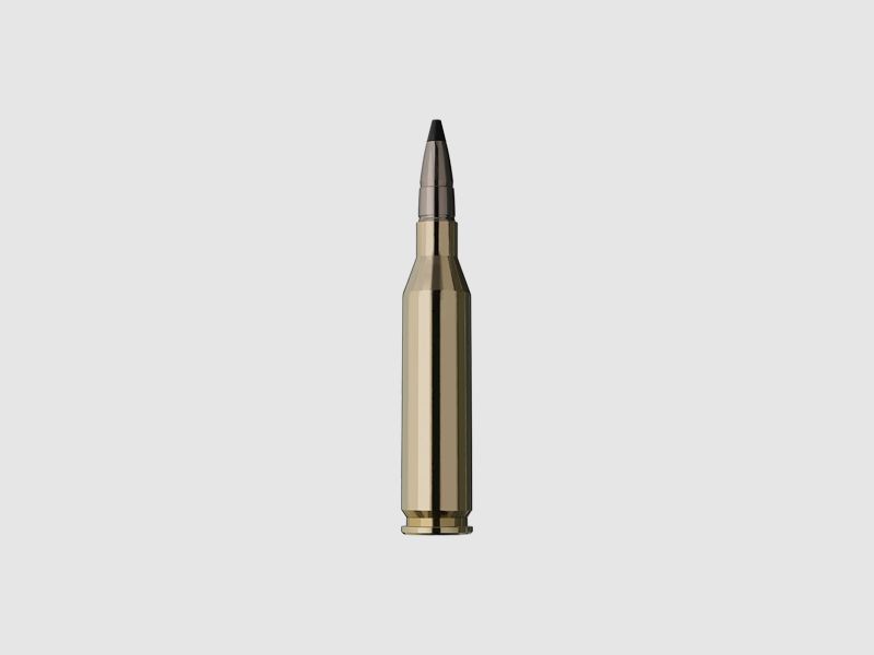RWS Speed Tip .243 Win. 5.8g, image 2 sur 4