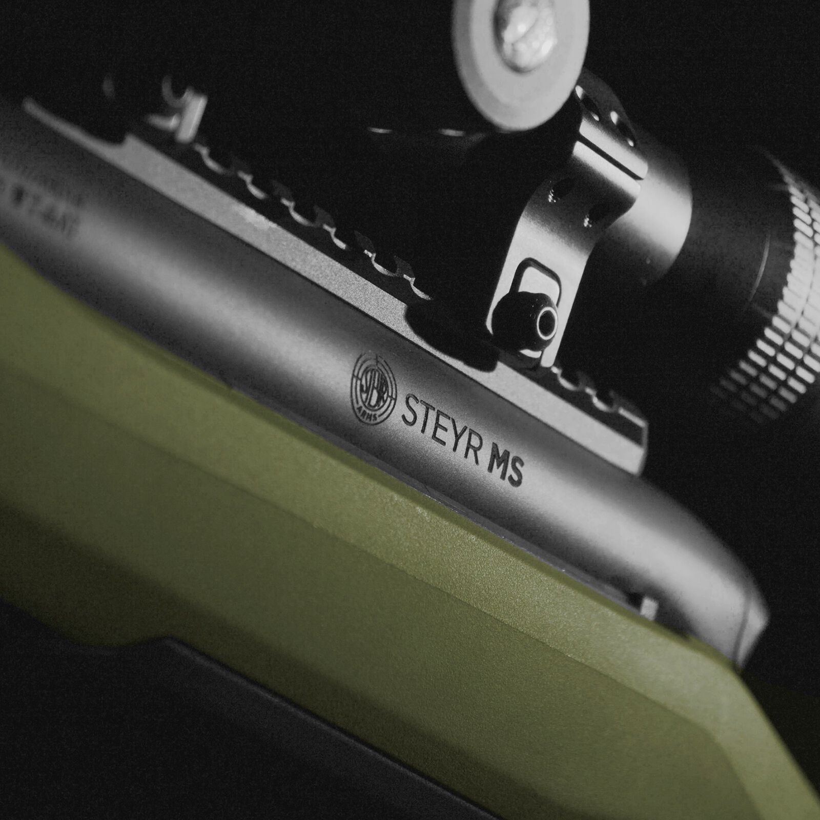 Steyr MS Wild ADJ Zielony