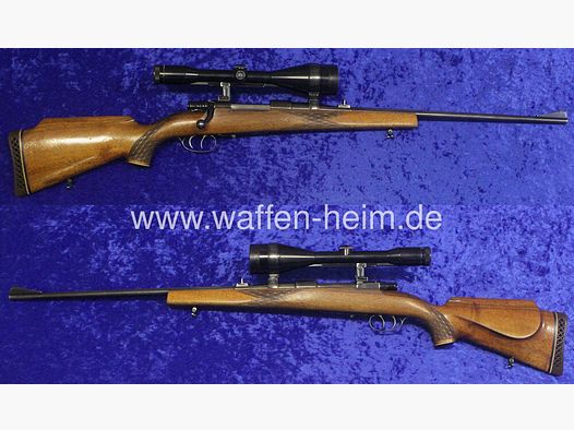 Forest -Frankonia M 98