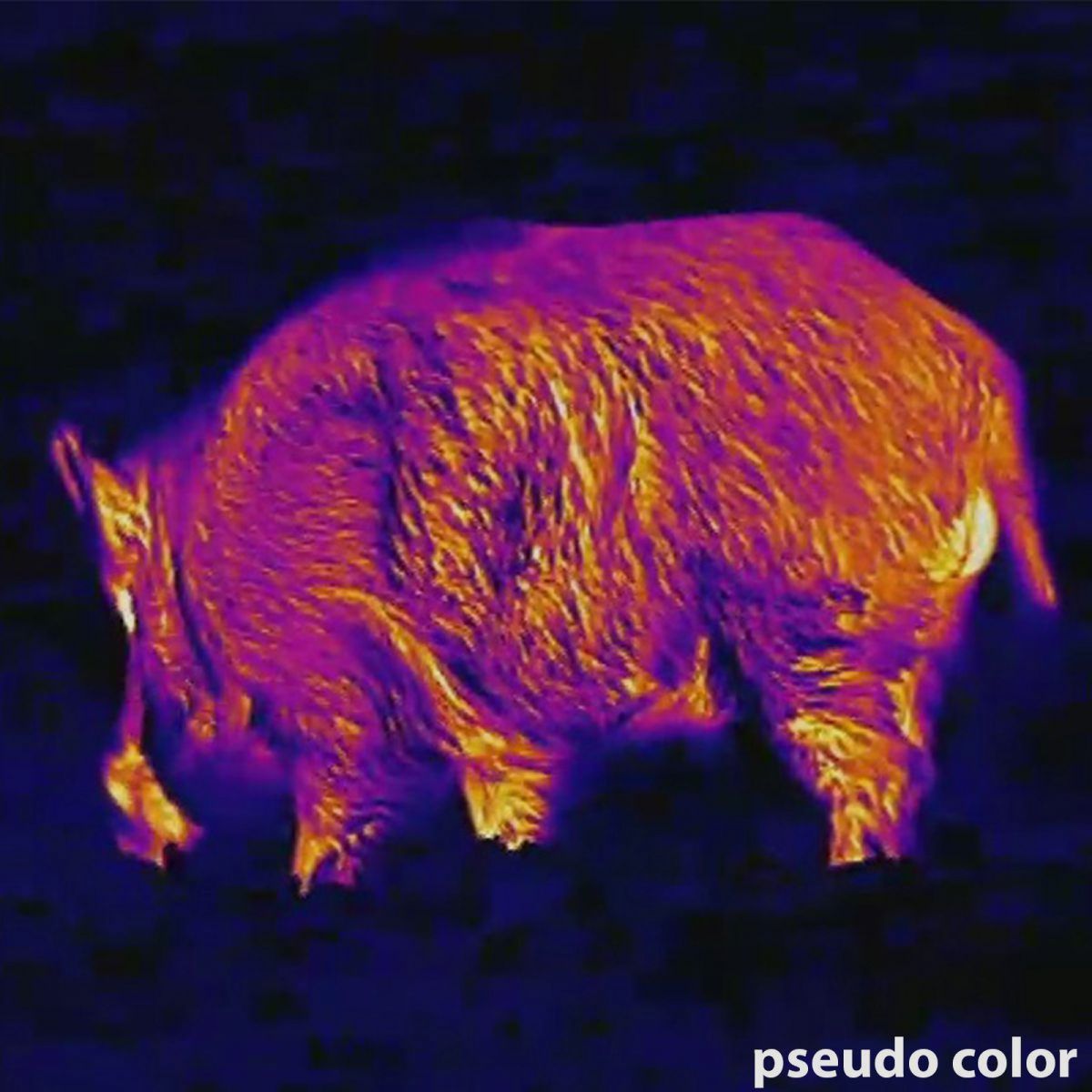 Lahoux Clip Elite 50 thermal imaging device