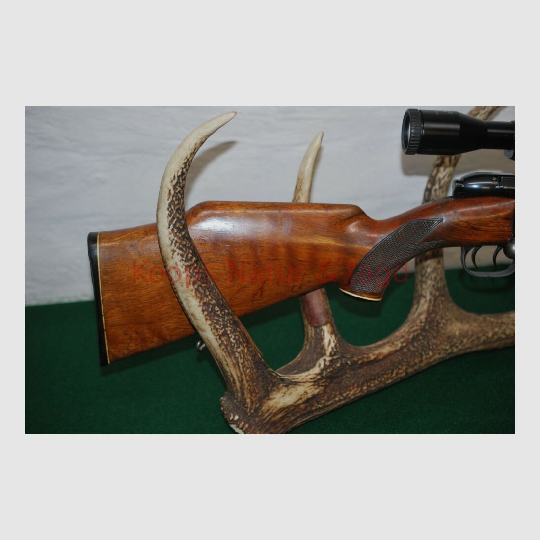Mauser 2000