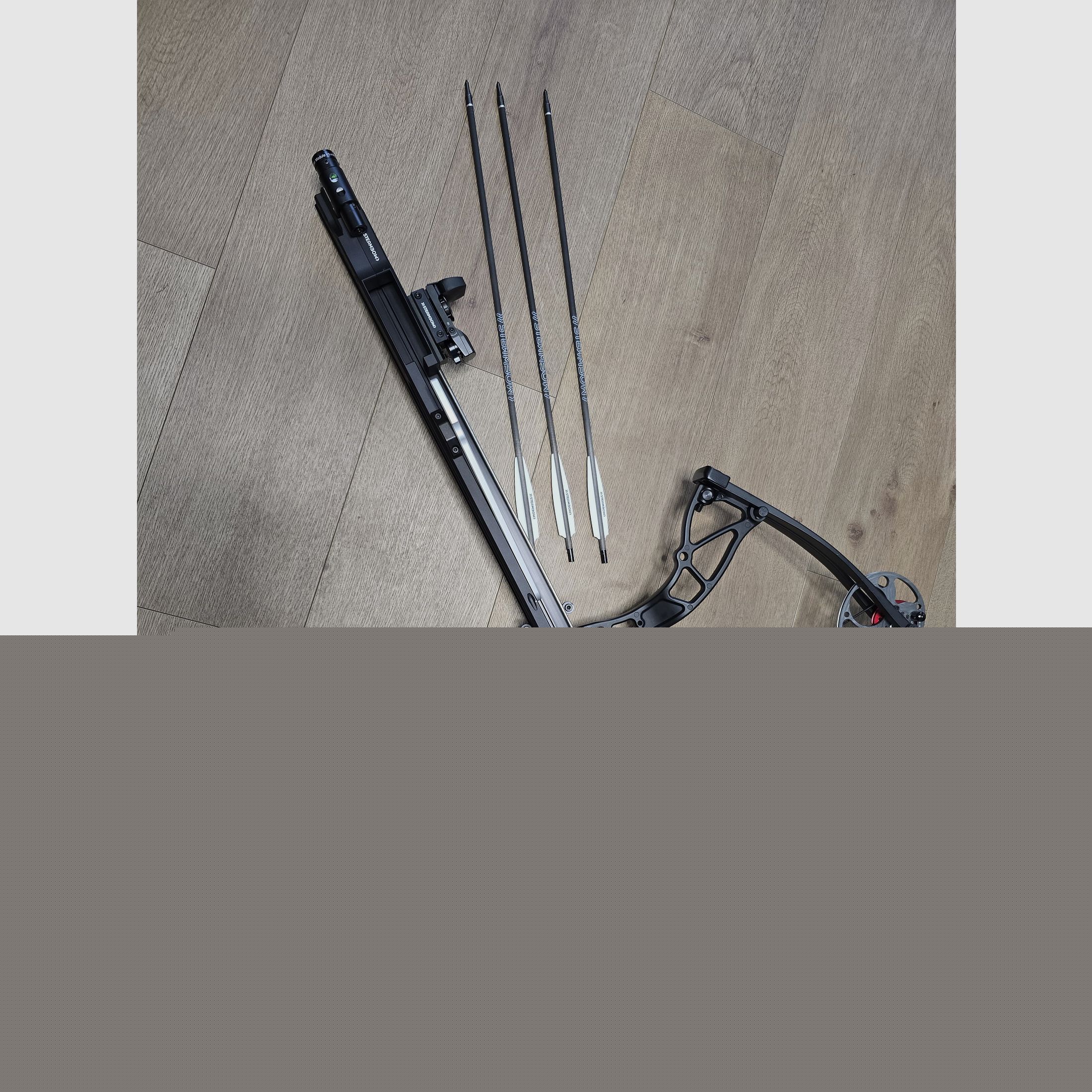 Steambow Fenris with magazine, Reddot, and laser