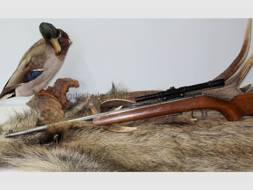 Anschütz 1400 .22lr