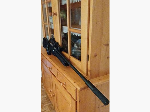 AGM Mauser L96 schwarze Sportgewehr