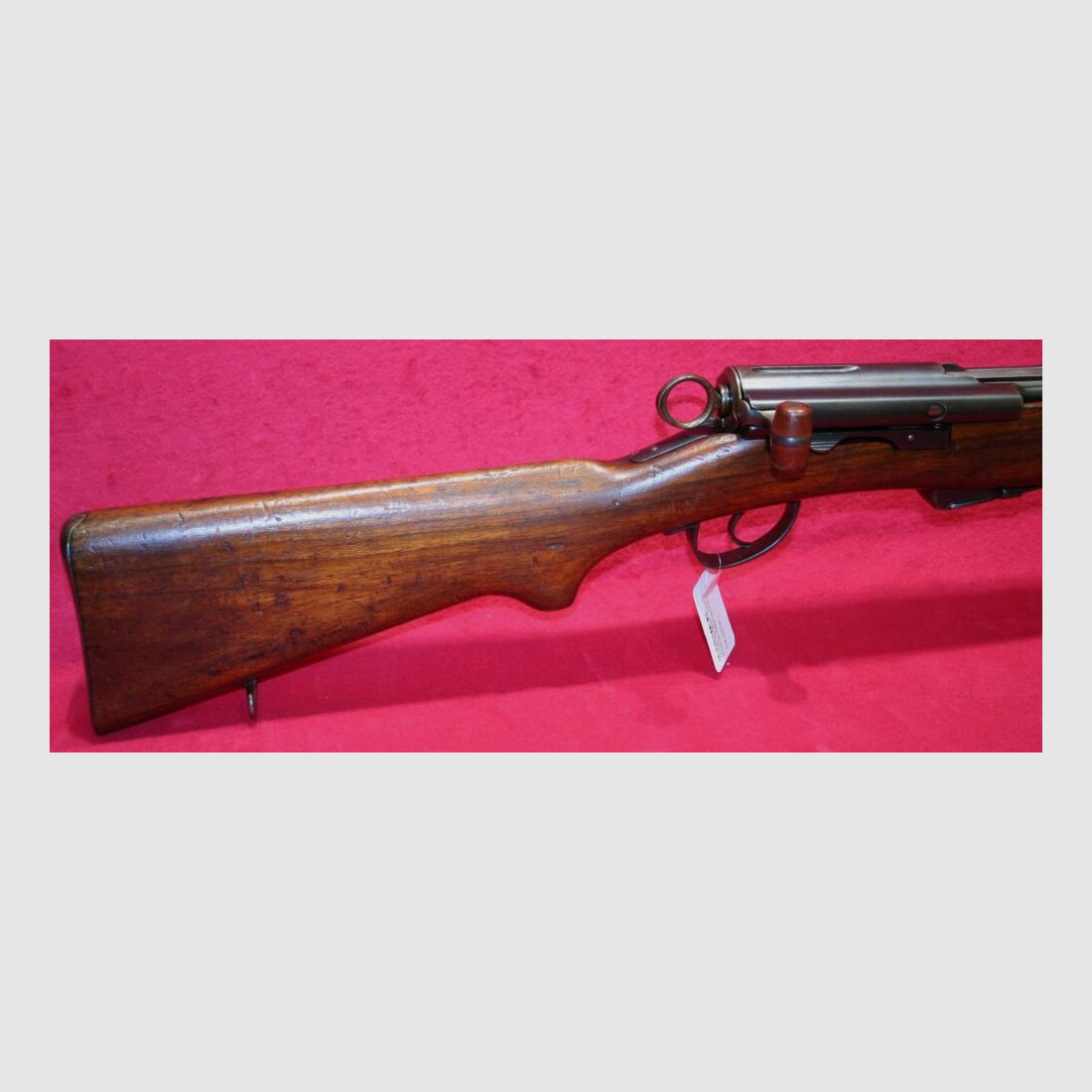 Schmidt-Rubin ripetitore a corsa lineare