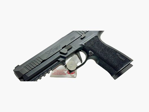 Sig Sauer P320 X-TEN 10 mm Auto