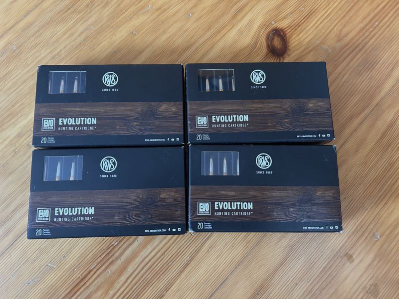 4x RWS .308 WIN EVOLUTION 11,9G 184GR