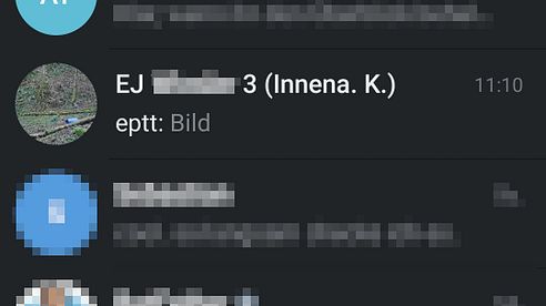 Wildkamera Fotos in Telegram fast kostenlos