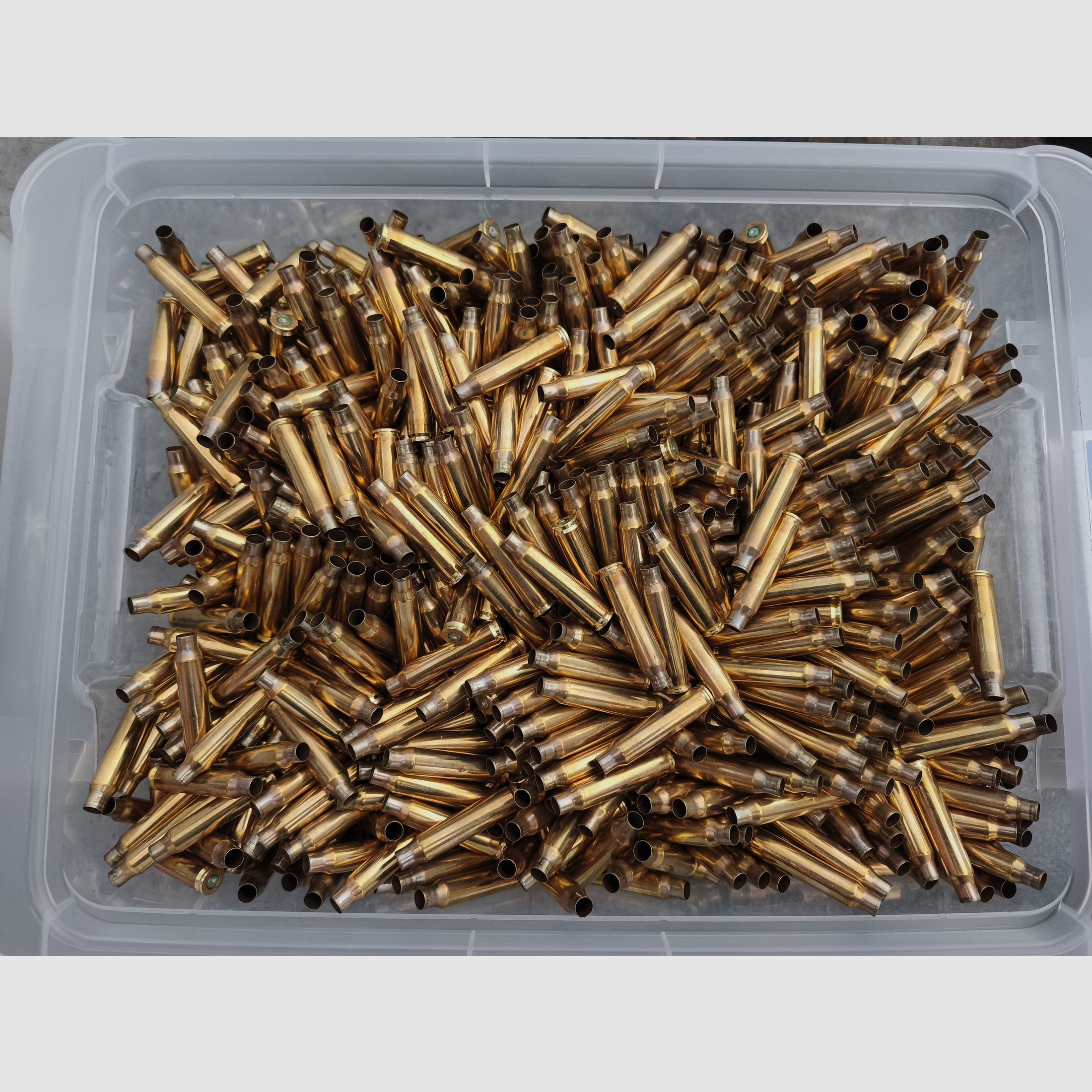 Patronenhülsen - Messing - 9mm Luger, .223 Rem - poliert, einmal verschossen