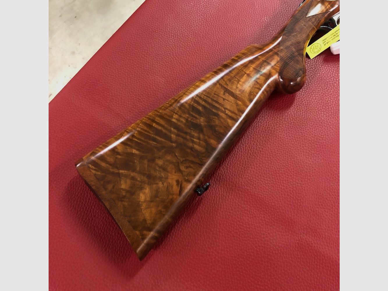 Rizzini Artemis, Bild 6 von 8