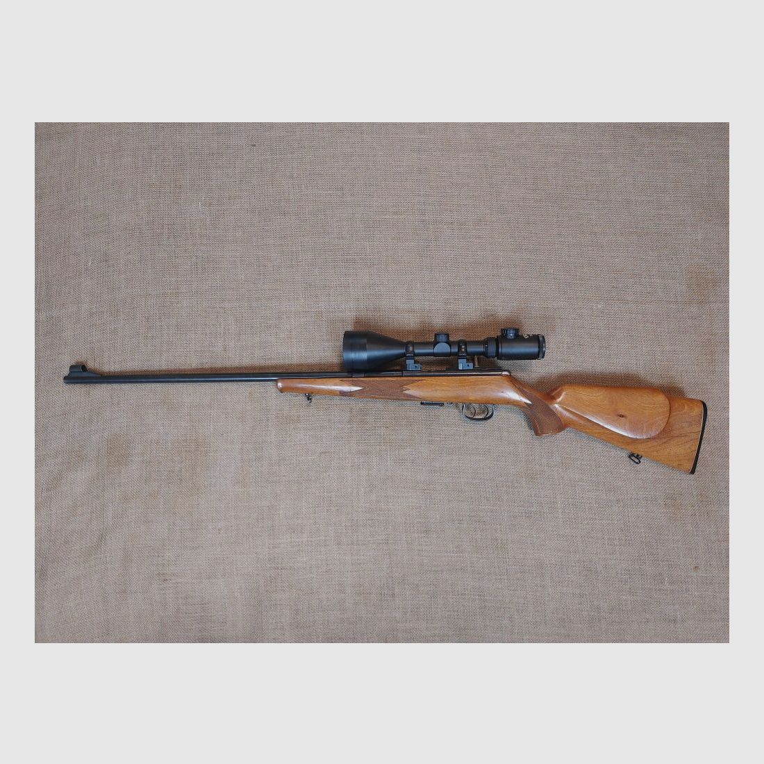 Anschütz , Ulm 1517 ST