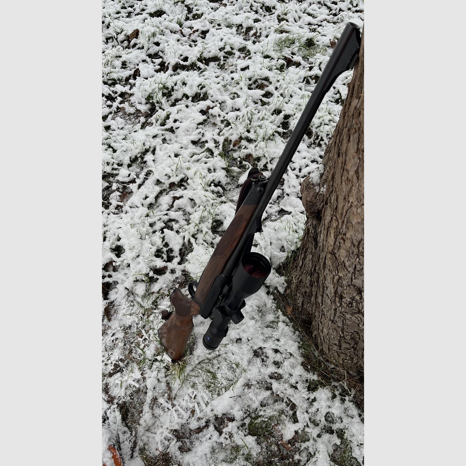 Sauer 404 Classic Kaliber 8x57JS