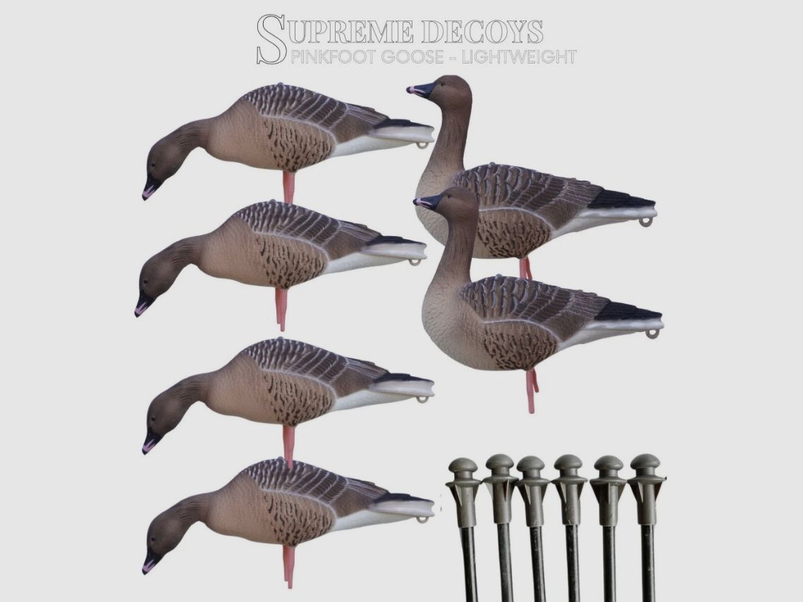 DK WAI Supreme Lightweight – Graugans (Set mit 4× äsendem Gänse-Lockvogel und 2× wachendem Gänse-Lockvogel inklusive Lockvogeltasche), Bild 2 von 6