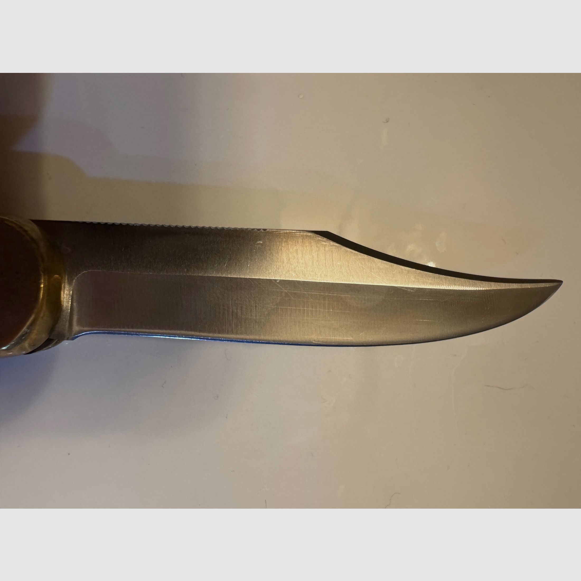 972 Puma Game Warden