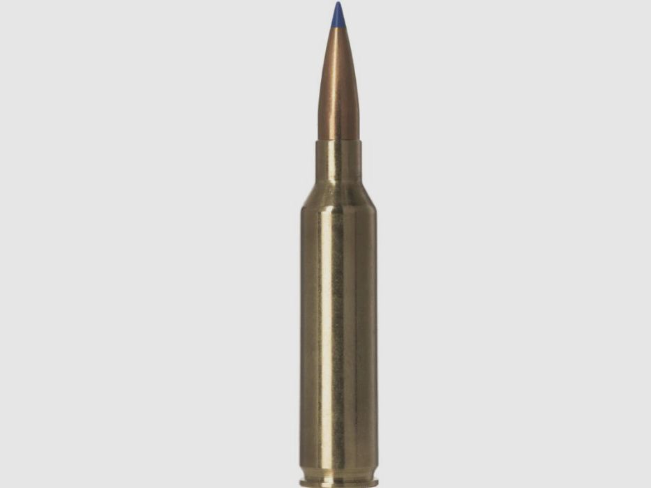 Norma 7mm PRC Bondstrike 10,7g/165gr, afbeelding 1 van 2