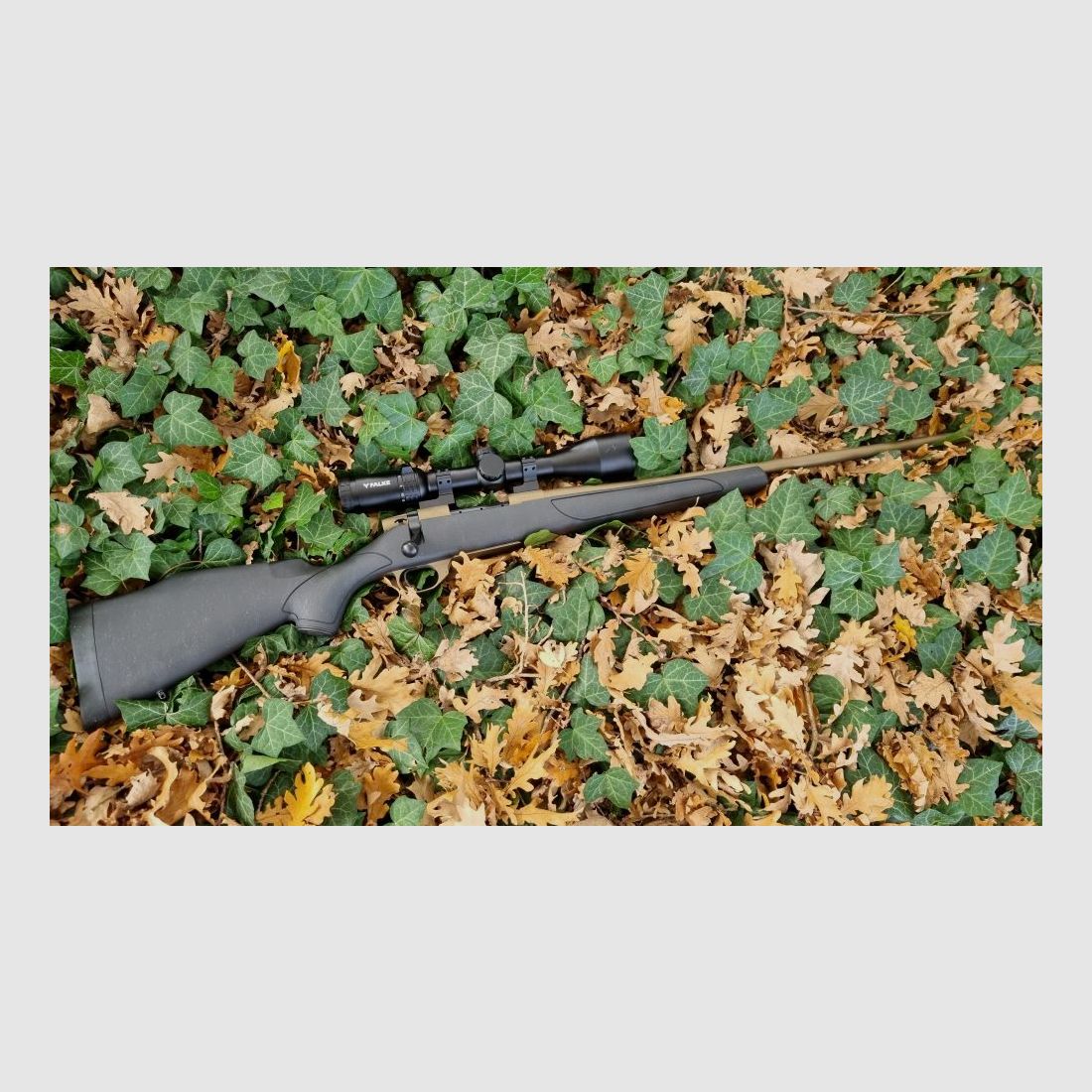 Weatherby Vanguard Weatherguard Bronze, option avec lunette Falke ZF